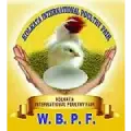 KIPF 2026