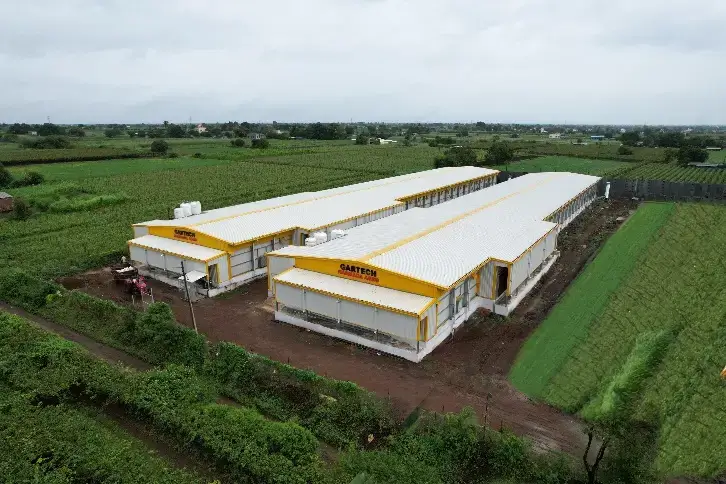 5 Critical Poultry Automation Mistakes