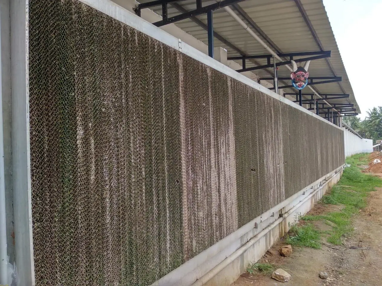Poor Water Quality Effects