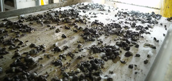 The Hidden Treasure: How Automatic Manure Management is Making Poultry Farms Cleaner and More Profitable