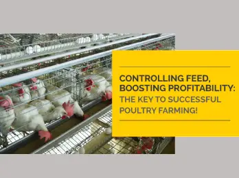 CONTROLLING FEED, BOOSTING PROFITABILITY