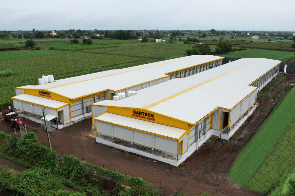 Turnkey Poultry Projects