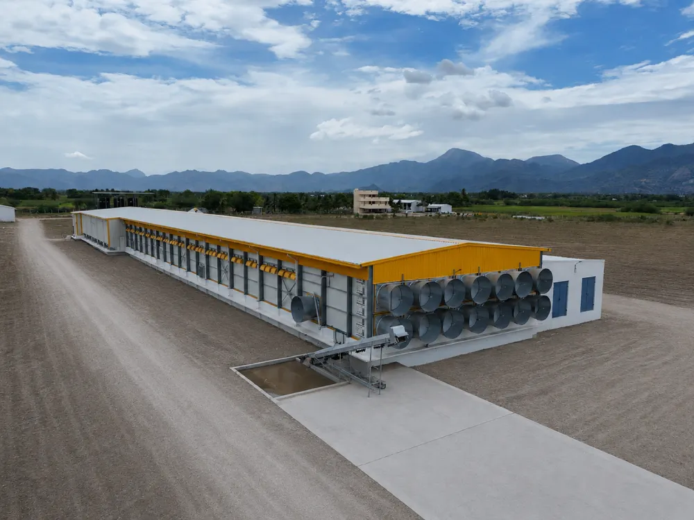 Advanced Poultry Farm Infrastructure
