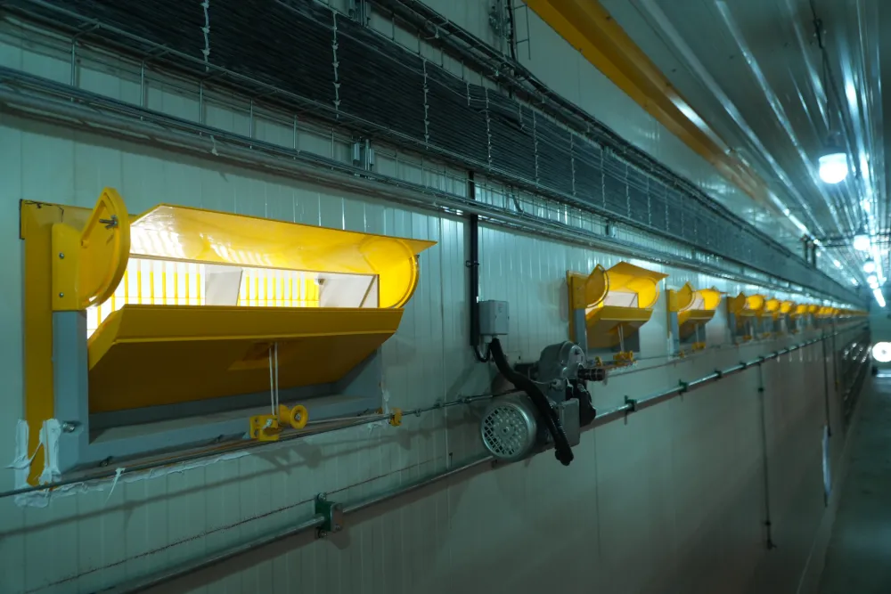 Advanced Poultry Farm Infrastructure