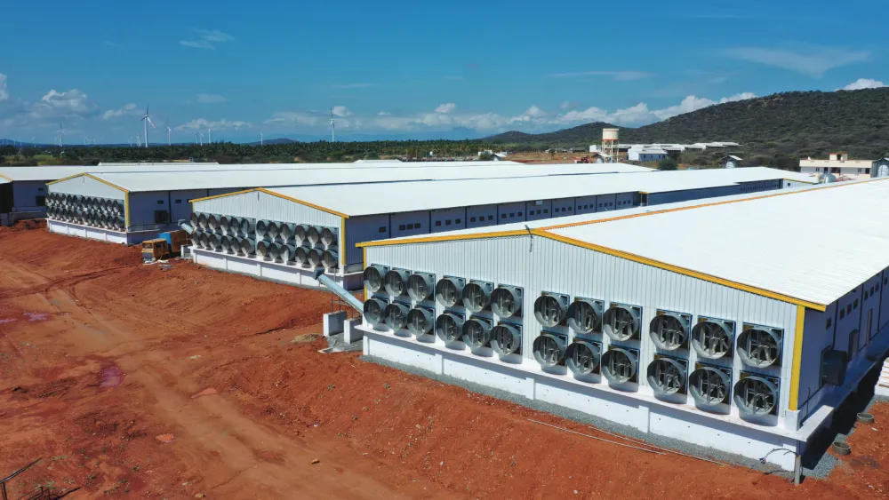 Advanced Poultry Farm Infrastructure